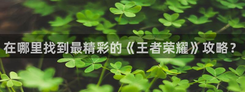 欧博娱乐注册账号：在哪里找到最精彩的《王者荣耀》攻略？