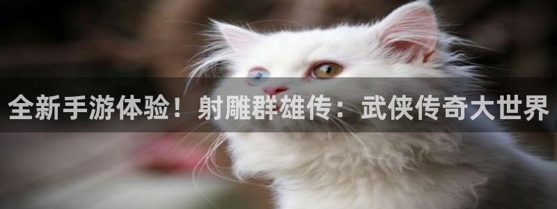 欧博娱乐平台官方网站：全新手游体验！射雕群雄传：武侠传奇大世