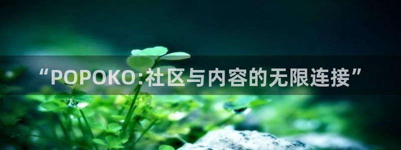 欧博娱乐注册开户：“POPOKO:社区与内容的无限连接”
