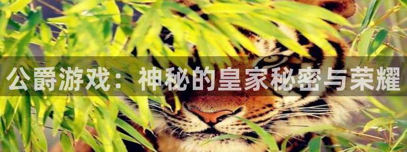 欧博娱乐平台：公爵游戏：神秘的皇家秘密与荣耀