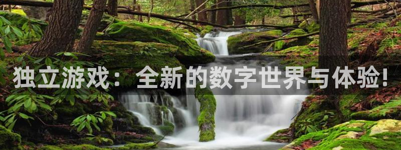 欧博娱乐娱乐是真的吗：独立游戏：全新的数字世界与体验!