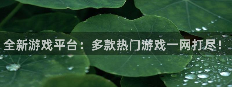 欧博娱乐登陆：全新游戏平台：多款热门游戏一网打尽！