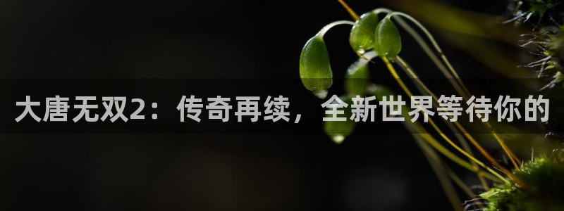欧博娱乐网页登录入口官网：大唐无双2：传奇再续，全新世界等待