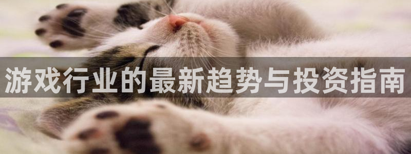 欧博娱乐登录地址：游戏行业的最新趋势与投资指南