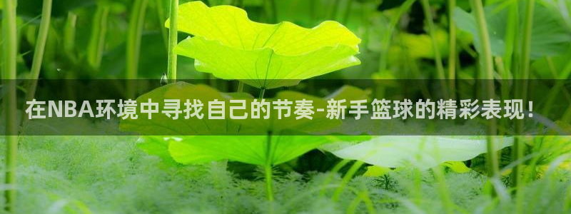 斗球直播(ios版)：在NBA环境中寻找自己的节奏-新手篮球的精彩表现！