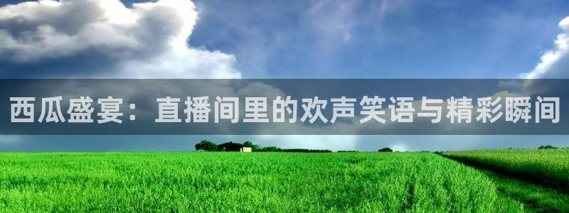 nba斗球直播：西瓜盛宴：直播间里的欢声笑语与精彩瞬间